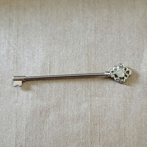Retro skeleton key shaped 14 gauge 38mm stainless steel industrial ear piercing